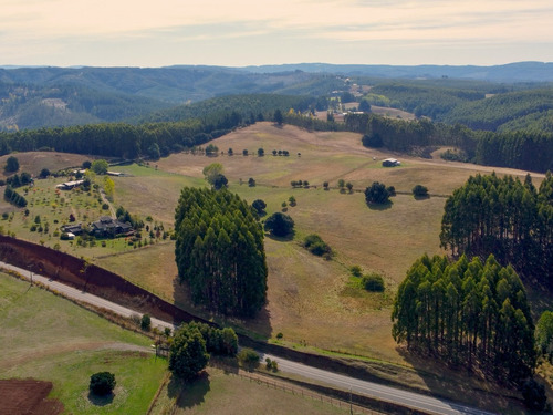 Campo Vista Hermosa  Región De Los Ríos