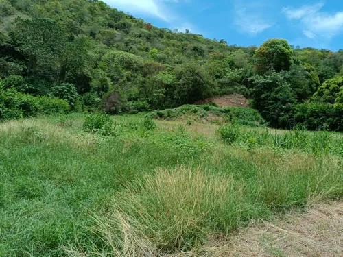 Lote En Venta En Paraje El Espinal. Cod V14863