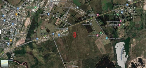 Imagen 4 de 5 de Campo En Venta Sobre Ruta 1 Para Fraccionamiento