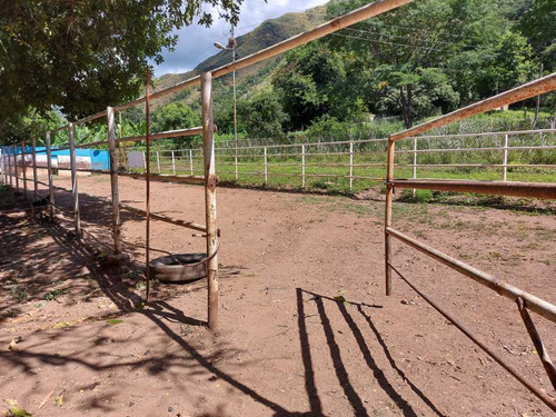 Imagen 22 de 29 de Finca Mixta + Manga De Coleo De 1 Ha En Guayabita En Turmero