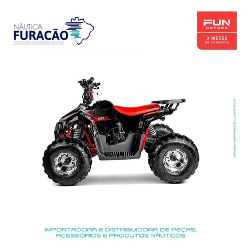 Imagem 3 de 14 de Quadriciclo Atv Utv Ssv Fun Motors Taurus 110