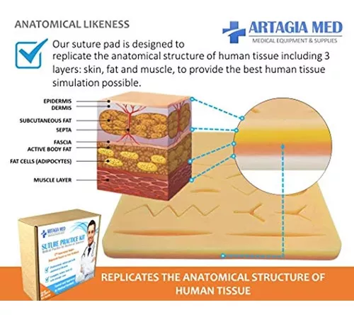 Kit de práctica de sutura (48 unidades), kit de sutura para uso de  entrenamiento de estudiantes, kit completo de herramientas de entrenamiento  de
