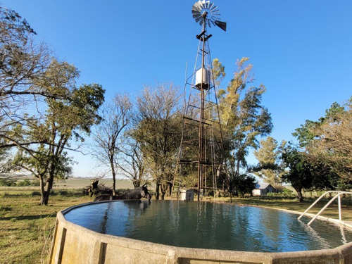 Imagen 5 de 17 de Casco De Estancia A 600m De La Ruta 11