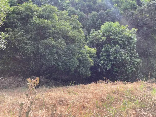 Lote Anapoima Conjunto Cerrado