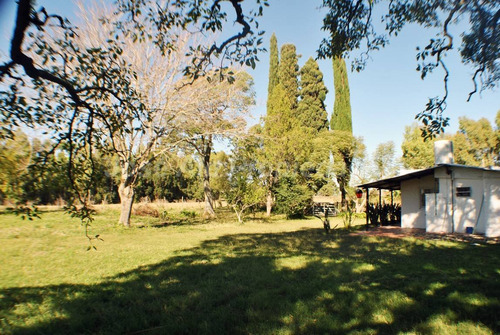 Imagen 11 de 11 de En Venta 5 Ha Con Dos Casas Colonia Del Sacramento