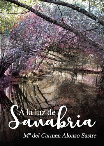 A La Luz De Sanabria, De Alonso Sastre , Mª Del Carmen.., Vol. 1.0. Editorial Punto Rojo Libros S.l., Tapa Blanda, Edición 1.0 En Español, 2032