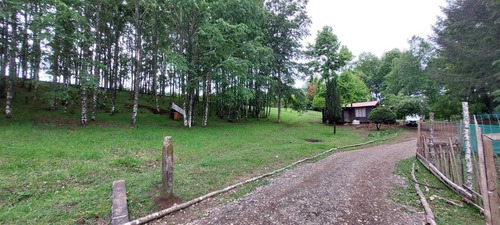 Campo En Venta Inversionista Pitrufquen (104143)
