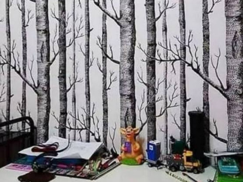 Imagen 5 de 9 de Papel Tapiz Vinilico Decorativo Interiores Impermeable 10 M
