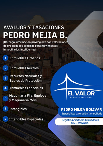 Avaluos Inmobiliarios 