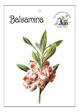 Semillas De Balsamina