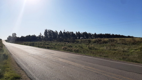 Imagen 5 de 18 de Hermosas Chacras Campos De 3 Hectareas En Tala