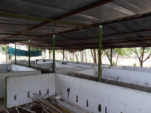 Imagen 14 de 27 de Finca En Venta En La Raya San Timoteo, Zulia