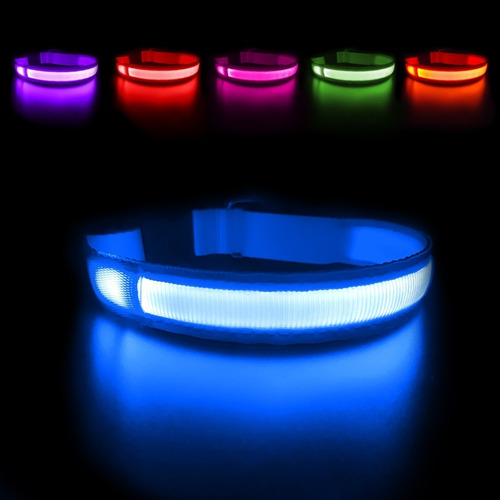 Collar Led Para Perro, Luz Impermeable, Segura, Paseo Noctur