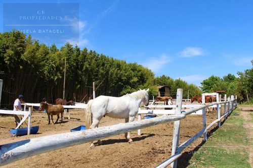Imagen 5 de 12 de Gb Propiedades-terreno - Haras Santa Maria