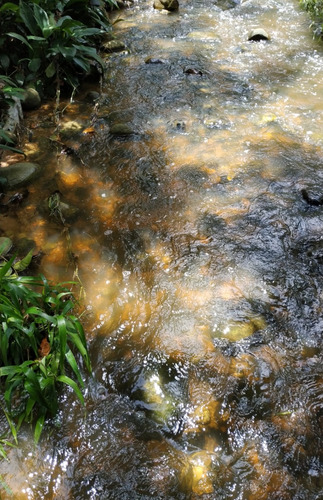 Estado Barinas Se Vende Finca Ganadera Yep11