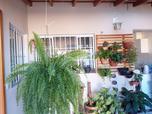 Imagem 26 de 30 de Casa À Venda Em Jardim Planalto - Ca005710