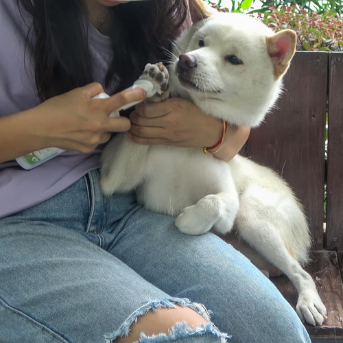 Limpiador En Espuma Sin Enjuague Paw Cleaner Leopong Para Pe