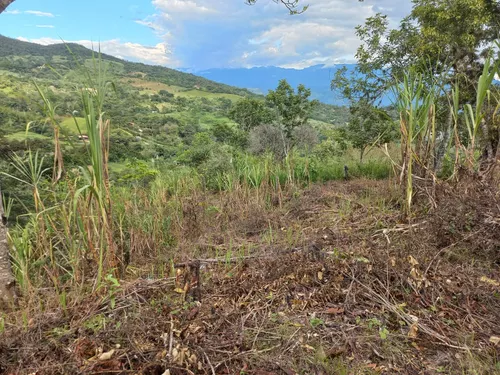 Venta De Lote En Villeta, Vereda Cune