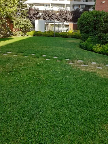 Amoblado En Apoquindo Con Manquehue.
