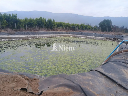 Agrícola En Arriendo En Limache