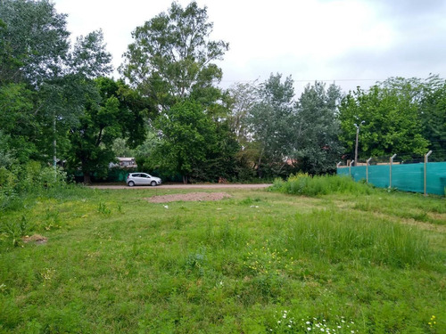 Imagen 5 de 6 de Terreno - Loma Verde