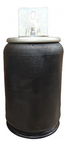 Bolsa De Aire (1r12-432 Codigo Goodyear) Marca Gabriel