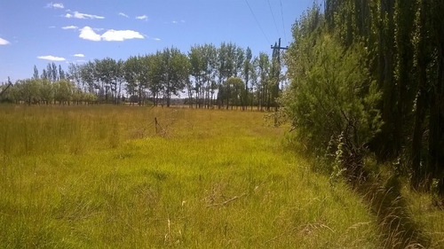Venta Chacra De 12 Has. Trelew (chubut).