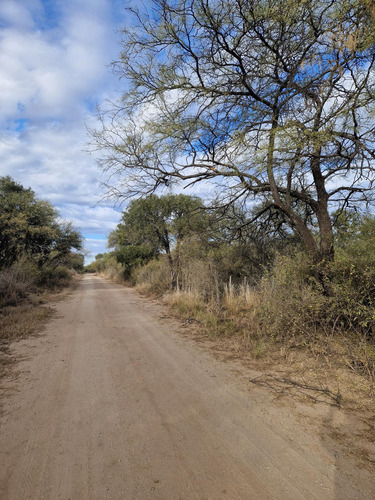 Campo De 20 Hectareas En Venta En La Paz, Traslasierra