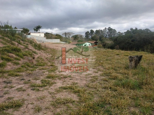 Imagem 9 de 11 de Terreno - Ref: 6086 - V-6086