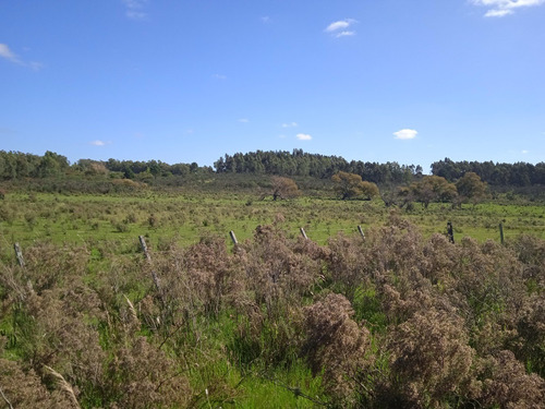 Campo De 21 Hectáreas Sub Urbanas