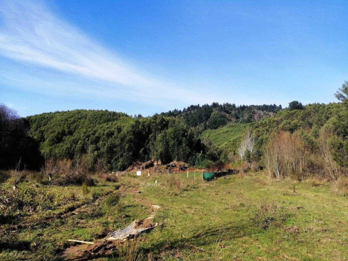Los Canles / Valle Nonguen