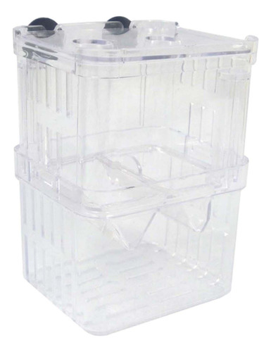 Caja De Cría De Acuario, Fácil De Usar, Tortuga Jugando,