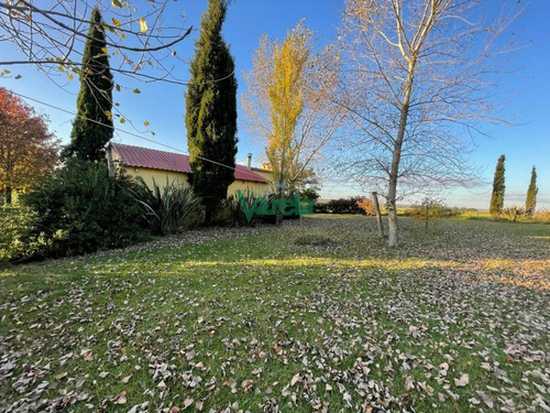 Imagen 12 de 23 de Chacra De 5,6 Has Por Ruta 11 - Atlantida Estación Atlántida