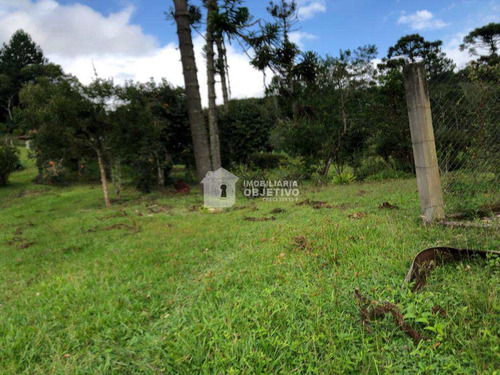 Chácara Com 1 Dorm, São Lourenço, São Lourenço Da Serra - R$ 375 Mil, Cod: 4157 - V4157