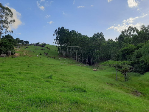 Imagem 4 de 15 de Sitio - Fazenda Rio Das Garcas - Ref: 34379 - V-34376