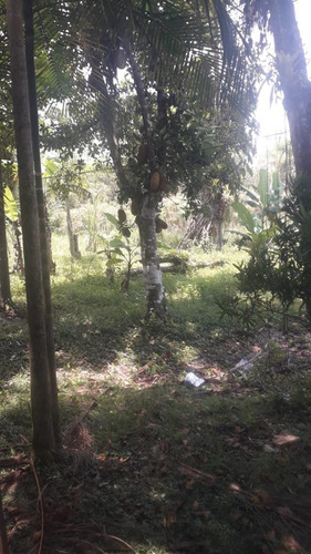 Imagem 4 de 29 de Chácaras Na Praia À Venda Em Itanhaem/sp - Compre O Seu Chácaras Na Praia Aqui! - 1488897
