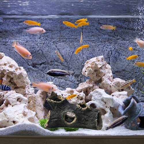 Decoración De Acuario Con Troncos Huecos De Mintiendo