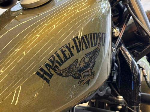 Harley-davidson Xl 883n Iron