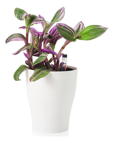 De Riego Automático Macetas De Vivero De Plántulas Ronda