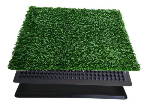 Imagen 2 de 7 de Tapete Entrenador Sanitario Para Perro Raza Grande 76x51 Cm