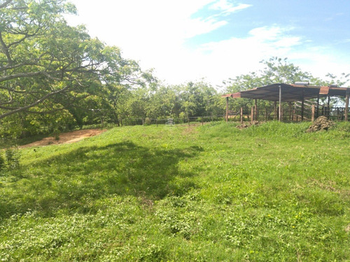 Imagen 16 de 17 de Finca En Venta Ubicada En San Jose De Sanare Estado Falcon.