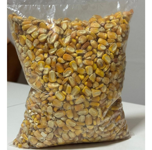 1 Kit Com 10 Pacotes De Milho De 1kg Cada Pacote