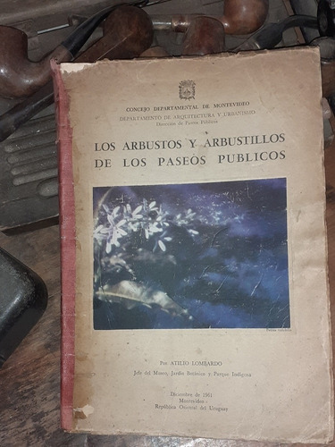 Los Arbustos Y Arbustillos De Los Paseos Públicos I.m.m.1961