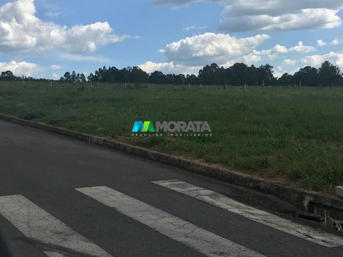 Imagem 8 de 15 de Terreno / Area - Distrito Empresarial - Ref: 4757 - V-mta4757