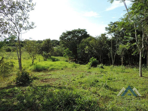 Chácara Com 1 Dormitório À Venda, 8000 M² Por R$ 480.000,00 - Gleba Ribeirão Cafezal - Londrina/pr - Ch0031