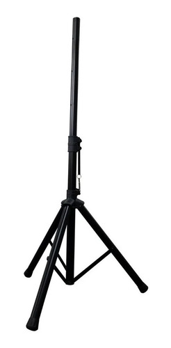 Monitor de escenario SKP SK-6PX con bluetooth negro 110V/220V