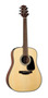 Segunda imagen para búsqueda de listado guitarra electroacustica palmer