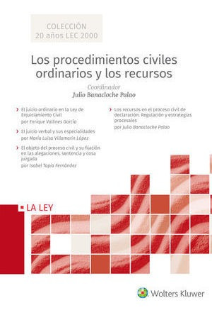 Libro Procedimientos Civiles Ordinarios Y Los Recursos, Los