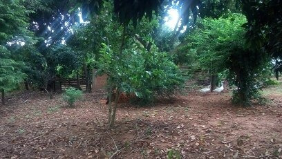 Chacra 3.383m2 Apenas 30 Metros Do Asfalto Porteira Fechada