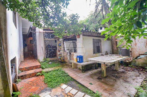 Imagem 6 de 30 de Terreno - Residencial - 147436